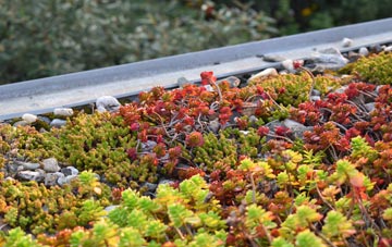 the cost of Glenholt green roof installation