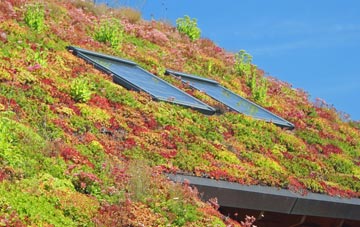 Glenholt living roof systems